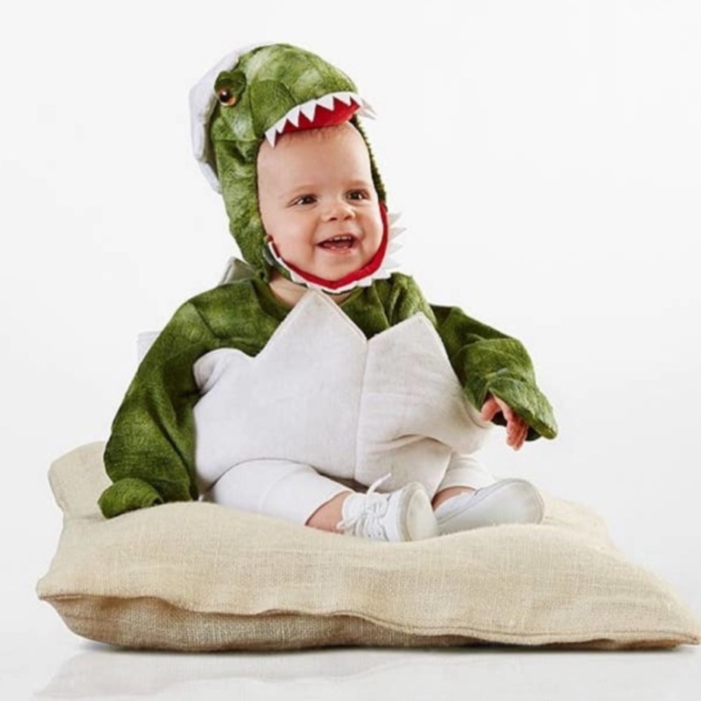 Pottery Barn Kids Dinosaur Baby Egg Costume 12-24m